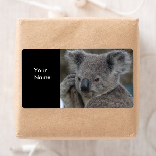 Label Adres Stickers Koala Beren (Insitu)