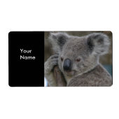 Label Adres Stickers Koala Beren (Voorkant)