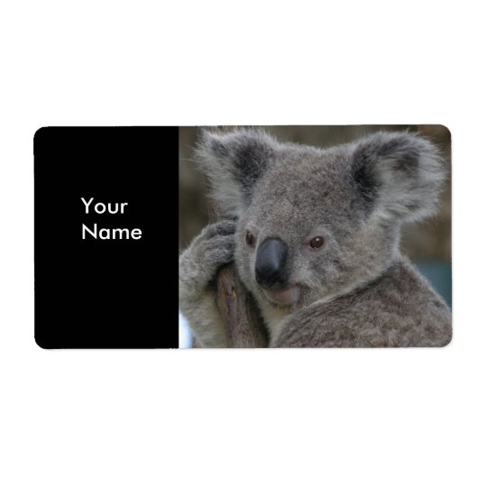 Label Adres Stickers Koala Beren (Voorkant)