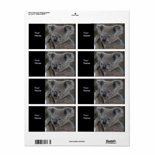 Label Adres Stickers Koala Beren (Full Sheet)