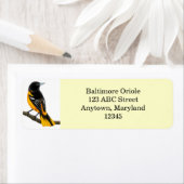  label Baltimore Oriole Bird (Insitu)