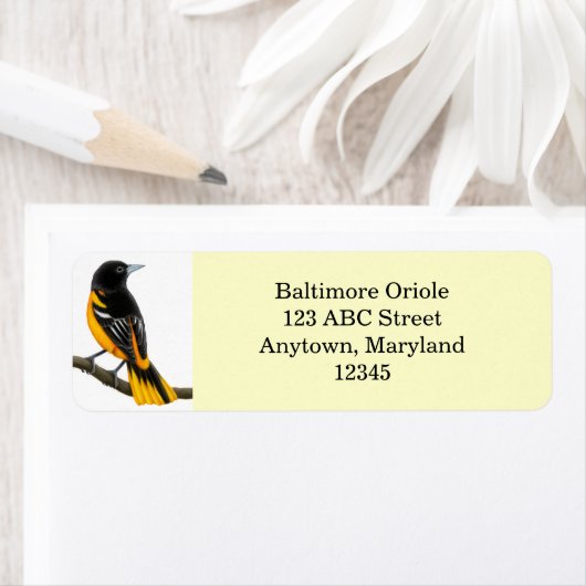  label Baltimore Oriole Bird (Insitu)