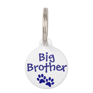 Label blauwe Big Brother Pet Dog Cat Huisdierpenning