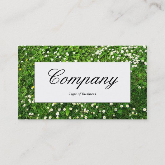 Label centrum - Lawn Daises (Voorkant)