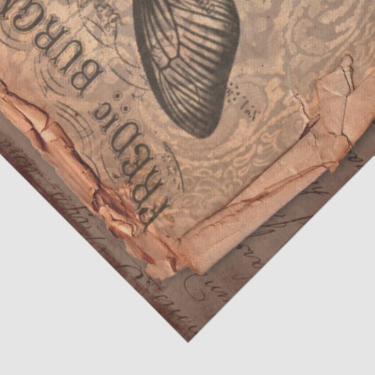 label en illustraties Shabby Chic Tissuepapier (Detail)