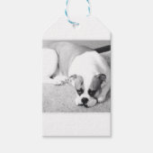 Label Engelse Bulldog Gift Cadeaulabel (Voorkant)