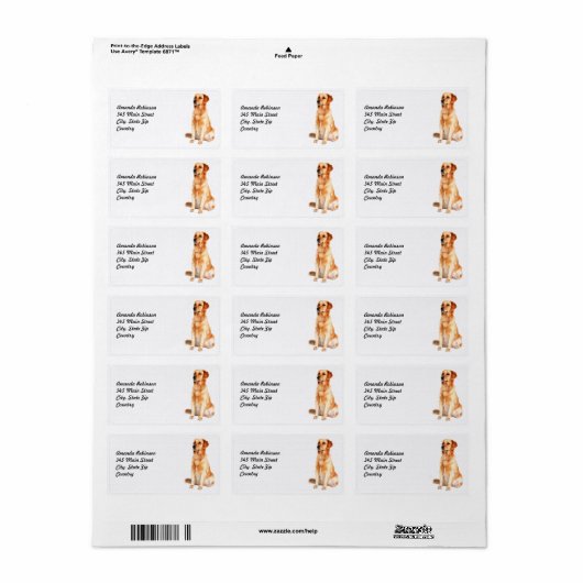 Label Golden Retriever (Full Sheet)