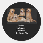 Label Golden Retriever (Voorkant)