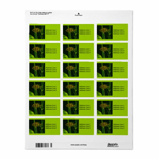 Label kleine vis (Full Sheet)