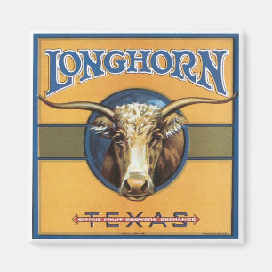  label Longhorn Steer Texas Fridge Magnet