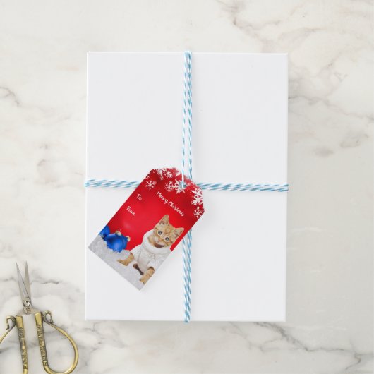 Label met kerstcadeau cadeaulabel (Met Touw)