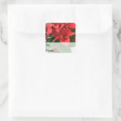 Label met kerstcadeaus van Poinsettia (Tas)