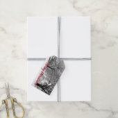 Label met kerstcadeaus voor Waverly Park, bevroren Cadeaulabel (Met Touw)