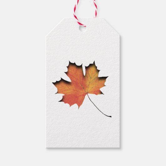 Label met schenkend-Label voor marktleder Cadeaulabel (Voorkant)