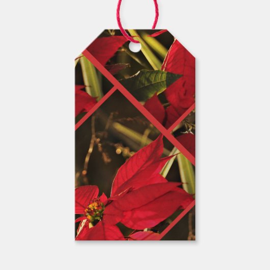 Label Poinsettia kerstfeestdag Cadeaulabel (Voorkant)