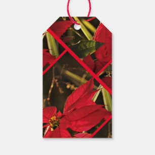 Label Poinsettia kerstfeestdag Cadeaulabel