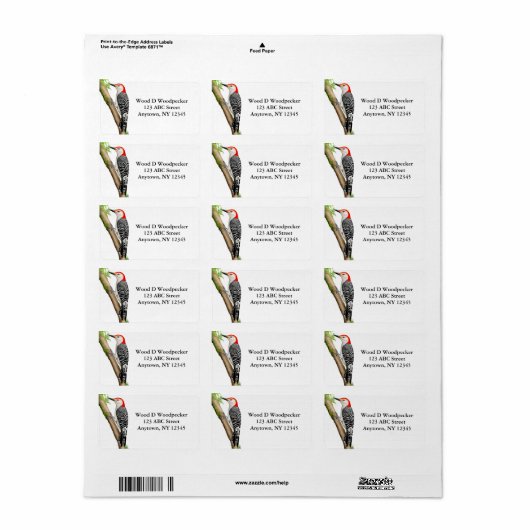  label Red Bellied Woodpecker (Full Sheet)