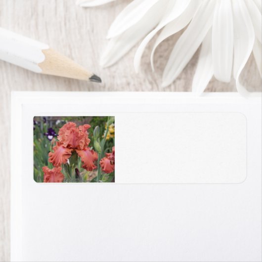 Label retouradres (Insitu)