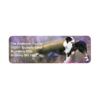 Label retouradres Border Collie