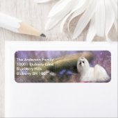 Label retouradres Maltees (Insitu)