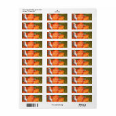 Label retouradres Maltees & Bloemen (Full Sheet)