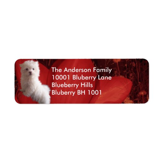 Label Retouradres Maltese & Bloemen (Voorkant)