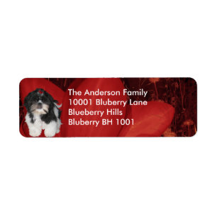 Label retouradres Shih Tzu & Bloemen