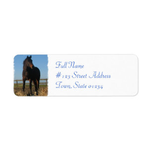 Label retouradres voor eBay-paarden