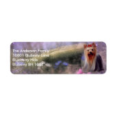 Label retouradres Yorkshire Terrier (Voorkant)