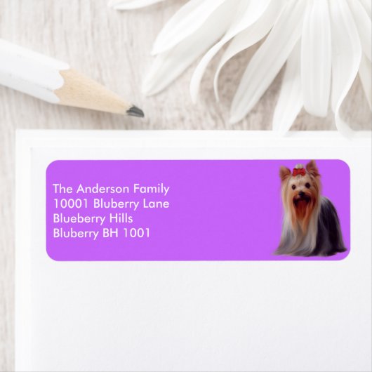 Label retouradres Yorkshire Terrier (Insitu)