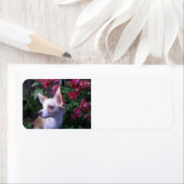 Label "Voeg je eigen foto toe" (Insitu)