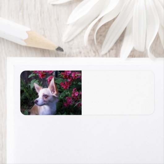 Label "Voeg je eigen foto toe" (Insitu)