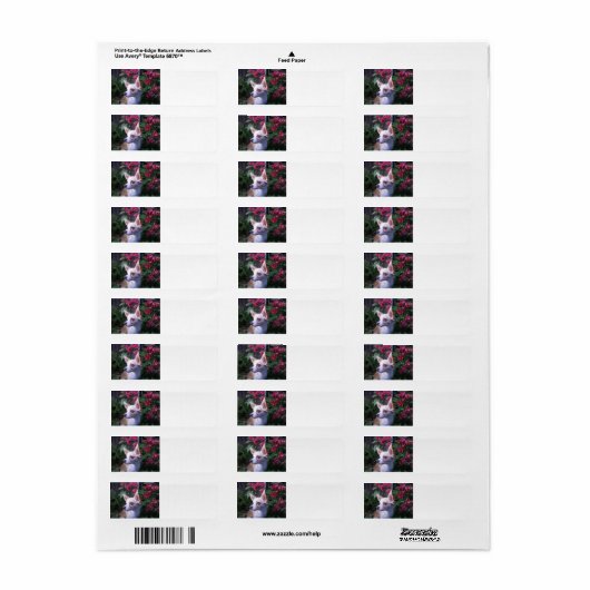 Label "Voeg je eigen foto toe" (Full Sheet)