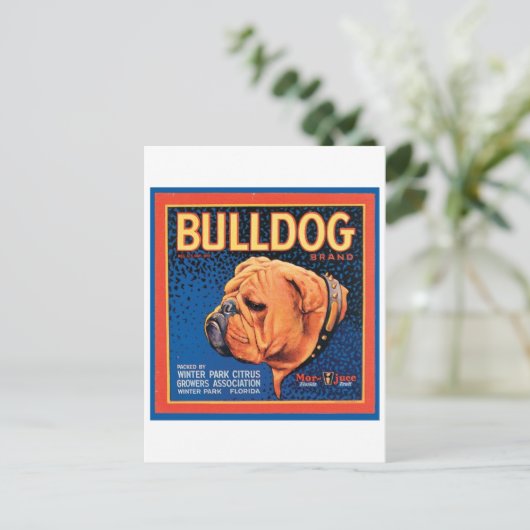  label voor bulledog-merk briefkaart (Staand voorkant)