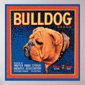  label voor bulledog-merk poster (Voorkant)