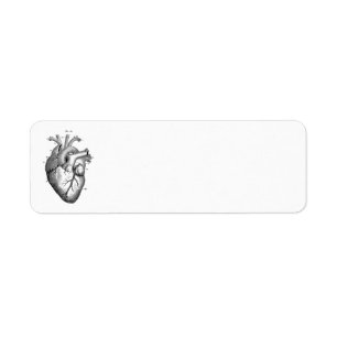 label voor het anatomische terugkeer van het hart