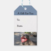 Label voor het glimlachen van Pitbull Gift Cadeaulabel (Achterkant)