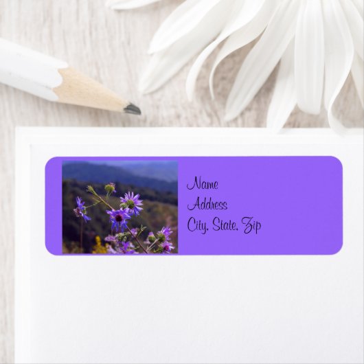 Label Wild Asters adres (Insitu)