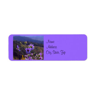 Label Wild Asters adres