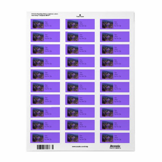 Label Wild Asters adres (Full Sheet)