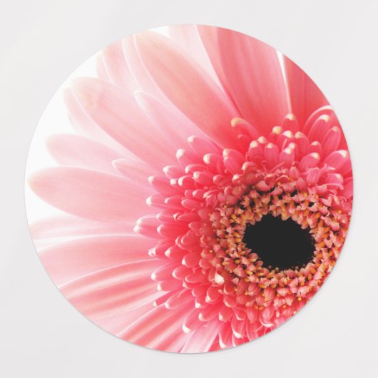 Labels (Design 2)