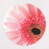 Labels (Design 1)