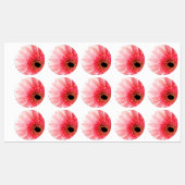 Labels (Vel)