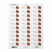 Labels 10-003 (Full Sheet)