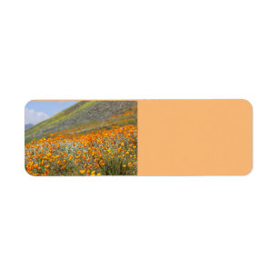 Labels in het Adres Californische papavervelden re
