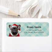 Labels op het Franse bulldog-adres (Insitu)