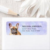 Labels op het Franse bulldog-adres (Insitu)