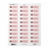 Labels op het Franse bulldog-adres (Full Sheet)
