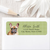 Labels op het Franse bulldog-adres (Insitu)