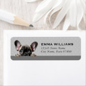 Labels op het Franse bulldog-adres (Insitu)